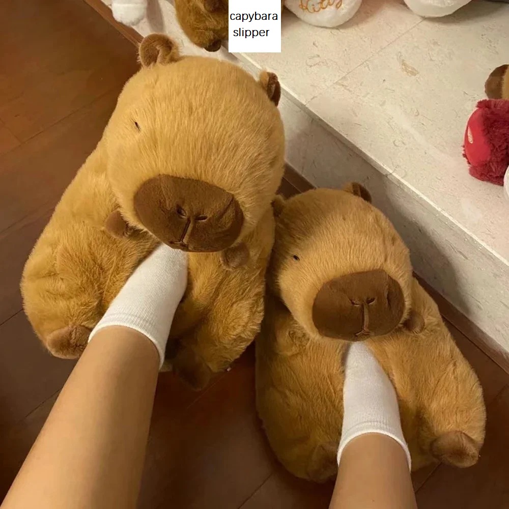 Novelty capybara slippers unis - Women Shoes For Winter review and price