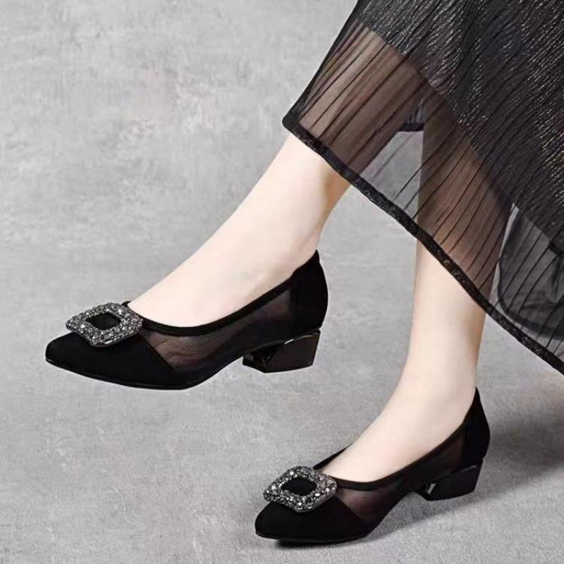 Elegant Pointed Toe Mesh Block - Women Shoes Model review and price